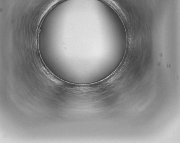 X0000060271236200511112039