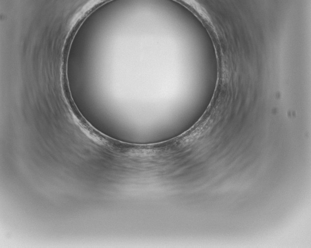 X0000060271237200511112039