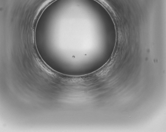 X0000060271238200511112039