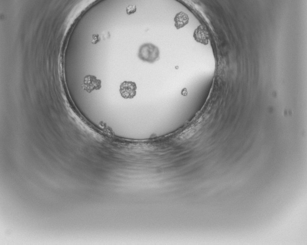 X0000060271239200511112039