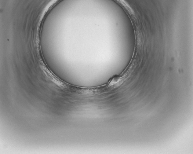 X0000060271240200511112039