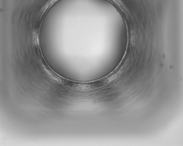 X0000060271241200511112039