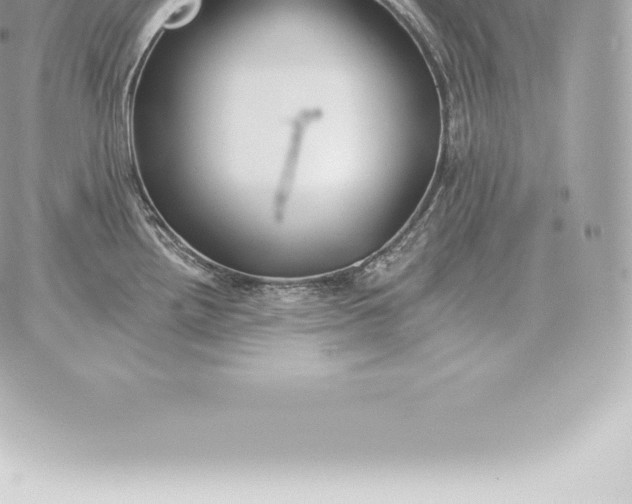 X0000060271242200511112039