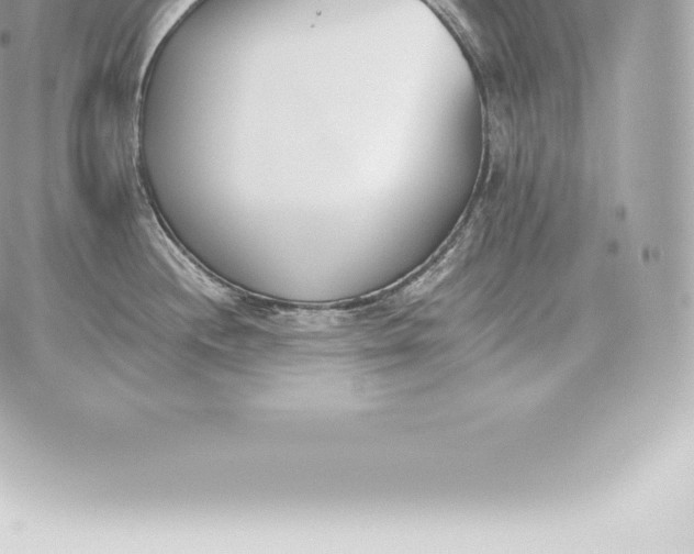 X0000060271244200511112039