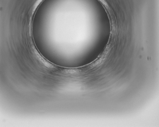 X0000060271246200511112039