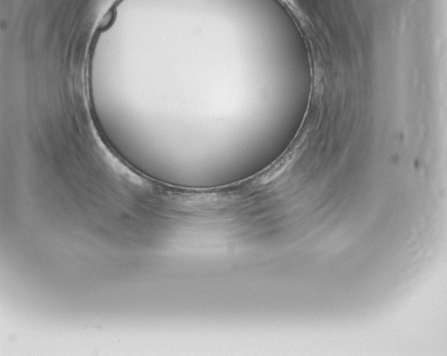 X0000060271247200511112039