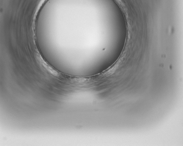 X0000060271248200511112039