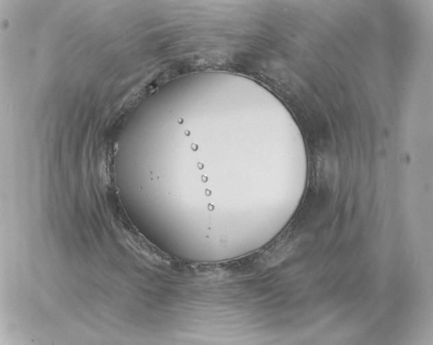 X0000060271250200511112038