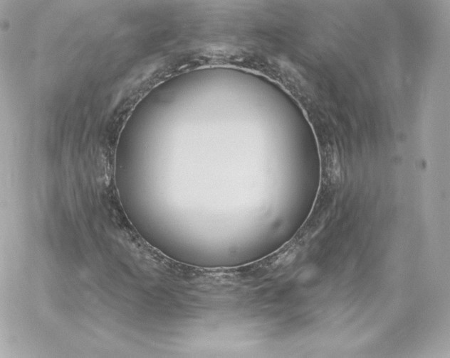 X0000060271253200511112038