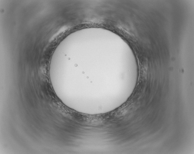 X0000060271254200511112038