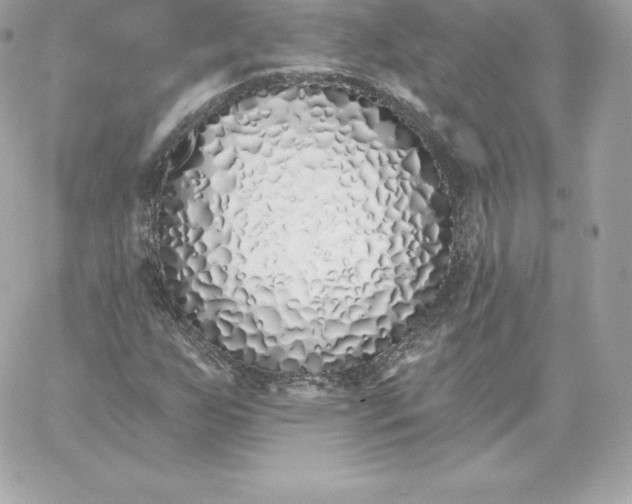 X0000060271255200511112038