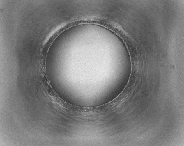 X0000060271256200511112038