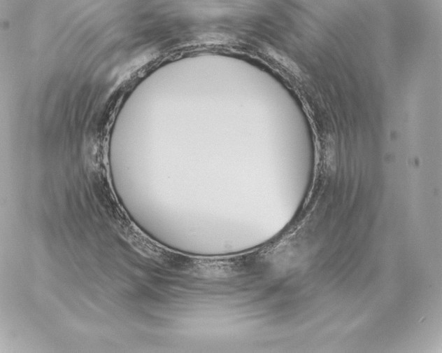 X0000060271258200511112038