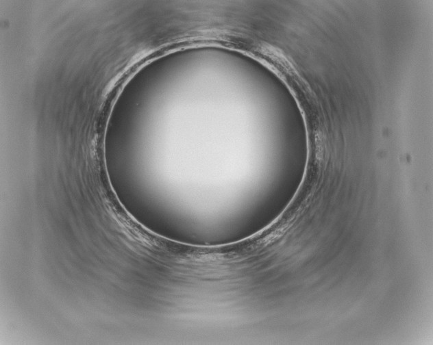 X0000060271260200511112038