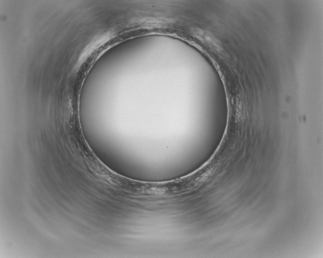 X0000060271261200511112038