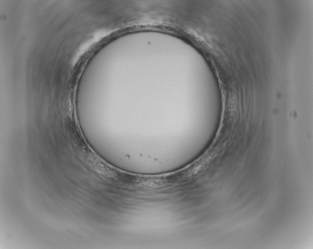 X0000060271262200511112038