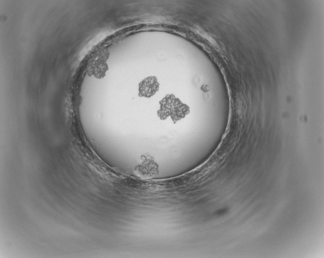 X0000060271263200511112038