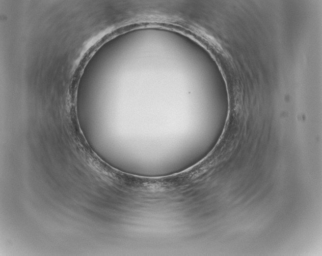 X0000060271264200511112038