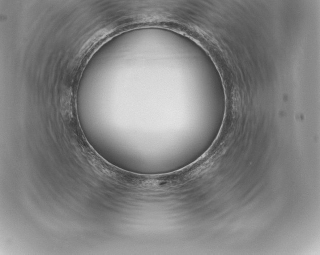 X0000060271265200511112038