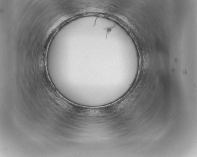 X0000060271266200511112038