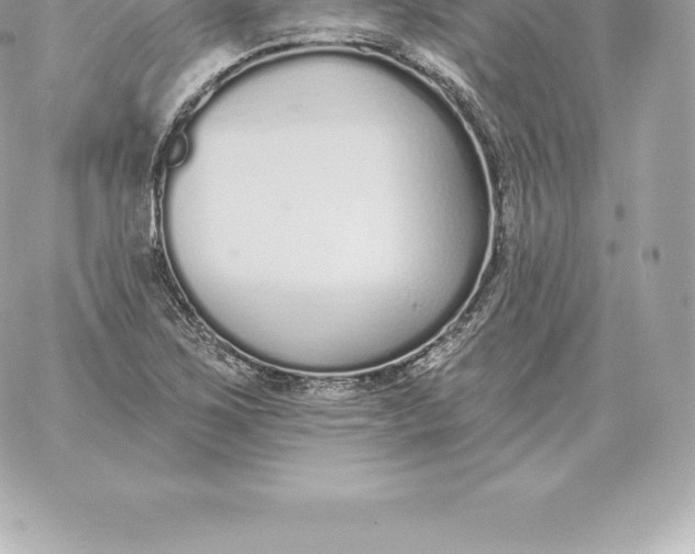 X0000060271267200511112038