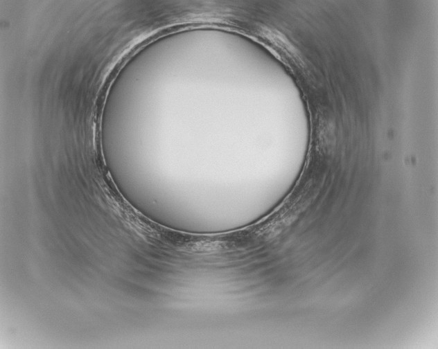 X0000060271268200511112038