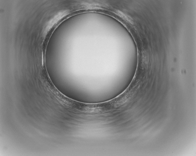 X0000060271269200511112038