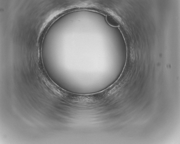 X0000060271270200511112038