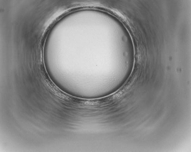 X0000060271271200511112038