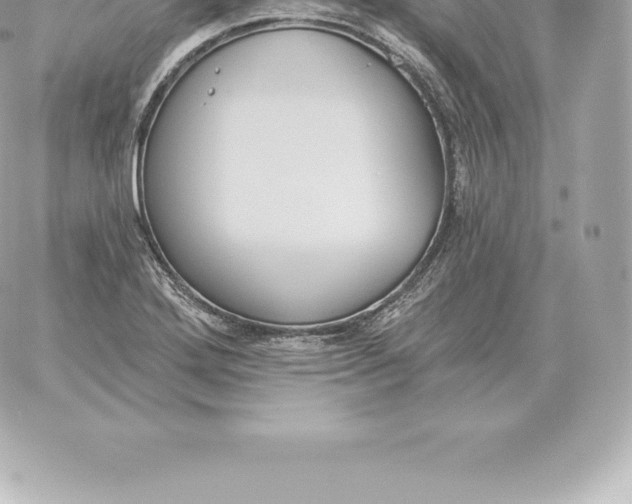 X0000060271272200511112038