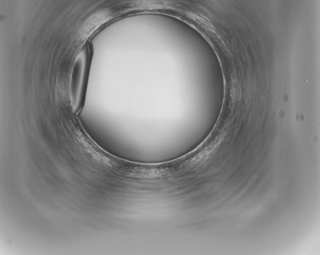 X0000060271273200511112038