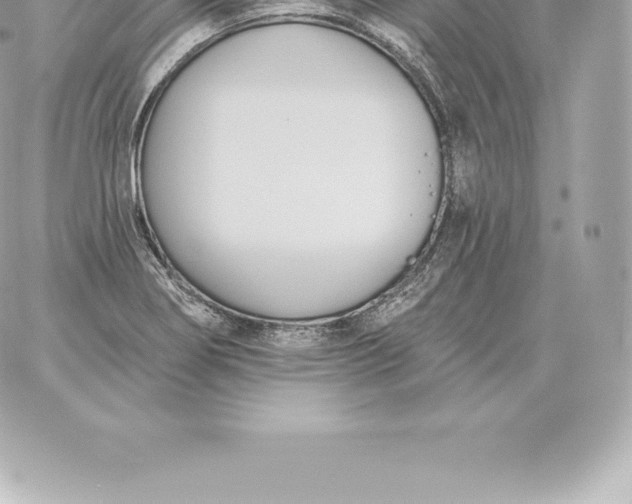 X0000060271274200511112038