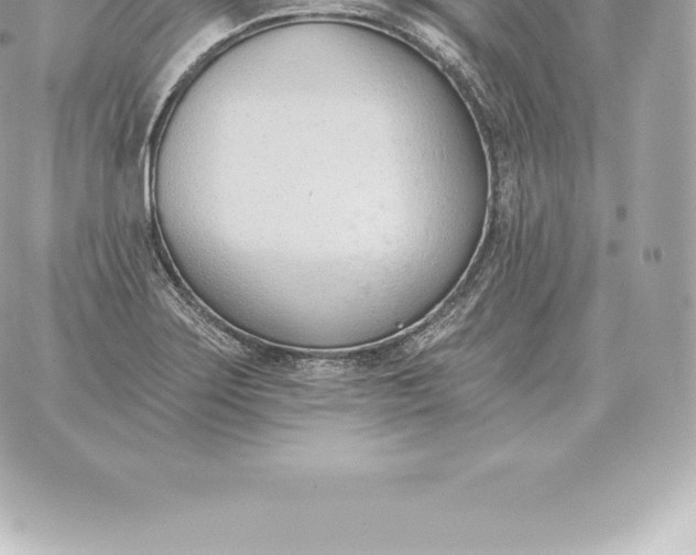 X0000060271275200511112038