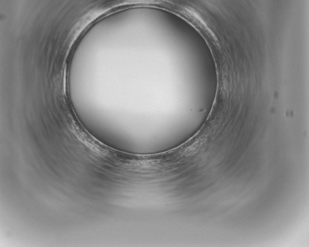 X0000060271276200511112038