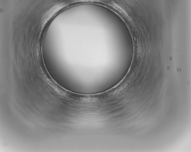 X0000060271277200511112038