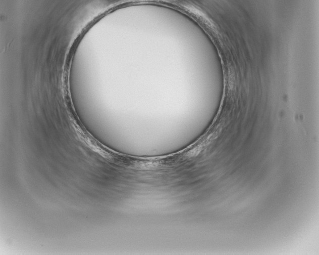 X0000060271278200511112038