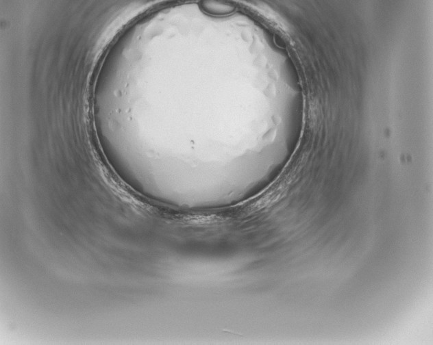 X0000060271279200511112038