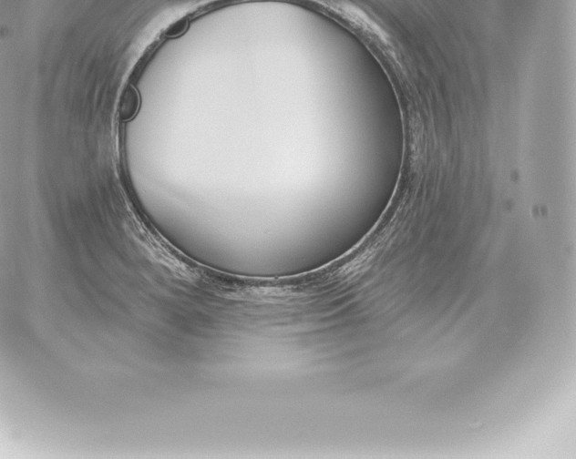 X0000060271280200511112038