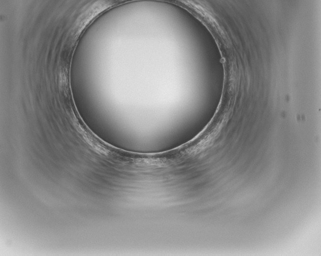 X0000060271281200511112037