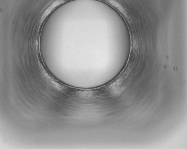 X0000060271282200511112037