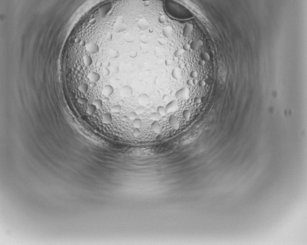 X0000060271283200511112037