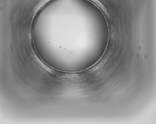 X0000060271285200511112037