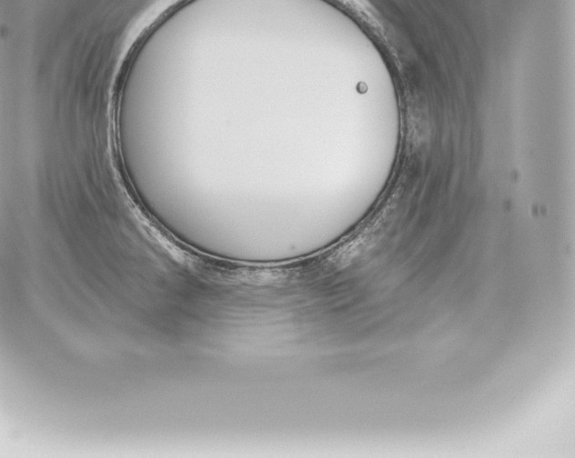 X0000060271286200511112037