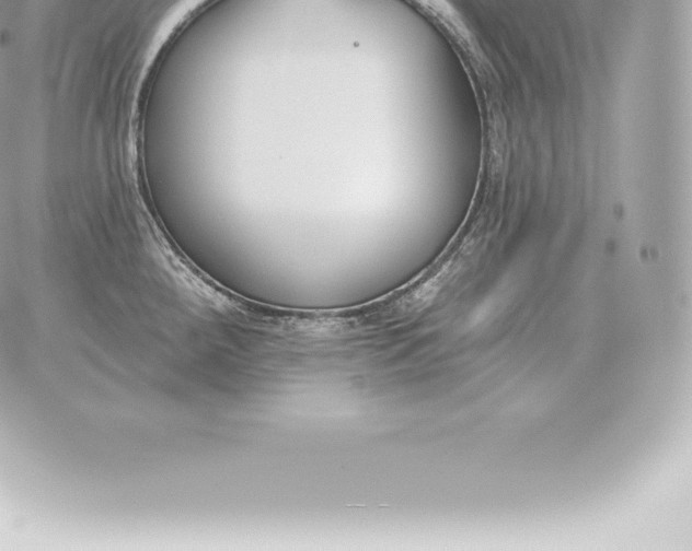 X0000060271288200511112037