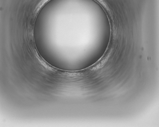 X0000060271289200511112037