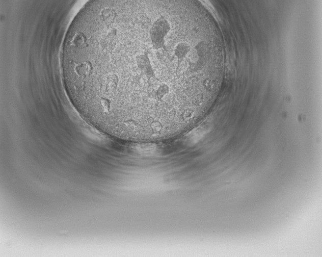 X0000060271291200511112037