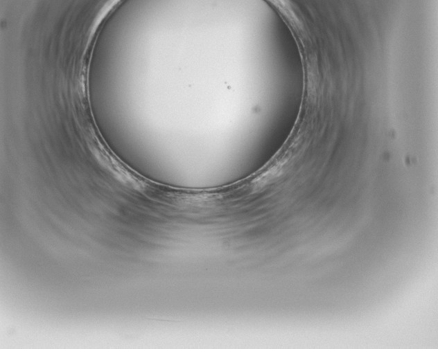 X0000060271292200511112037