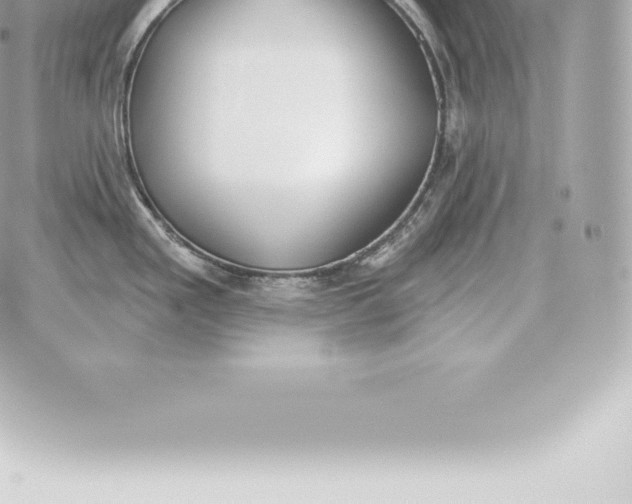 X0000060271293200511112037