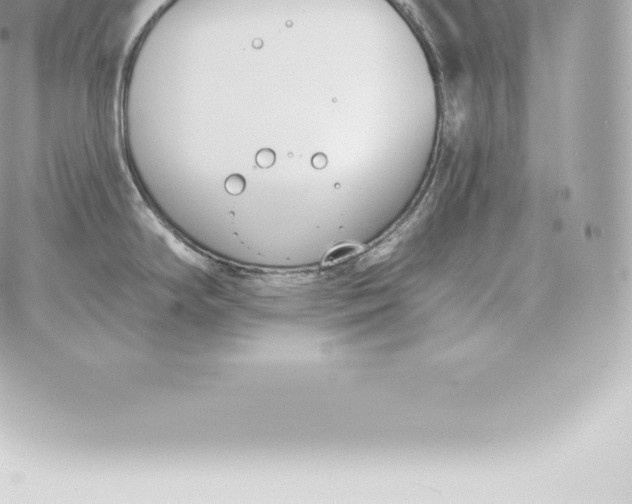 X0000060271294200511112037