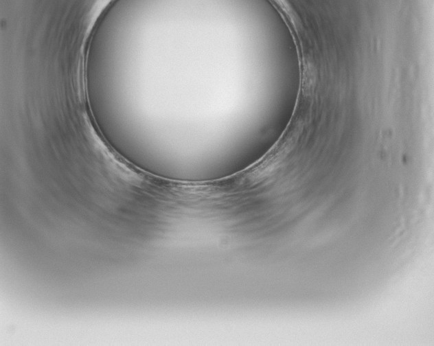 X0000060271295200511112037